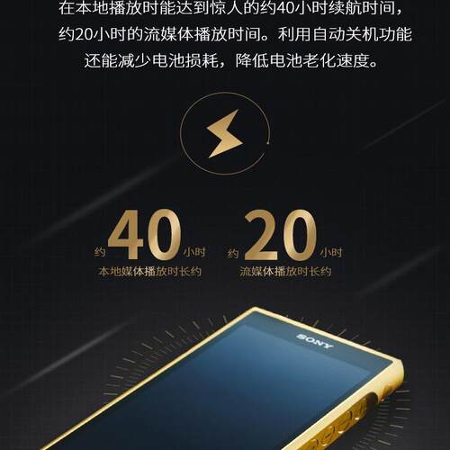国行现货Sony/索尼 NW-WM1ZM2 WM1AM2黑砖金砖二代高解析播放器套 - 图1