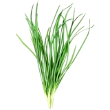 Shandong Small Fine -Leaf Seeds Seeds Четыре сезона весеннего балкона балконы горшечный горшок многолетний аромат может оставить растительные семена