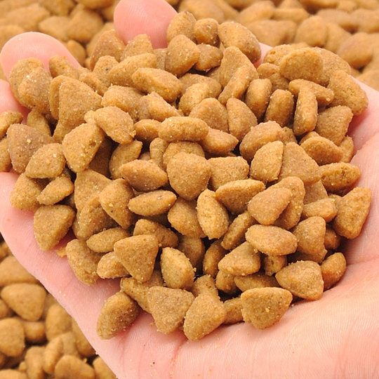 澳可维猫粮全价猫粮猫主粮海洋鱼鸡肉猫粮500g装猫粮 买5斤可包邮