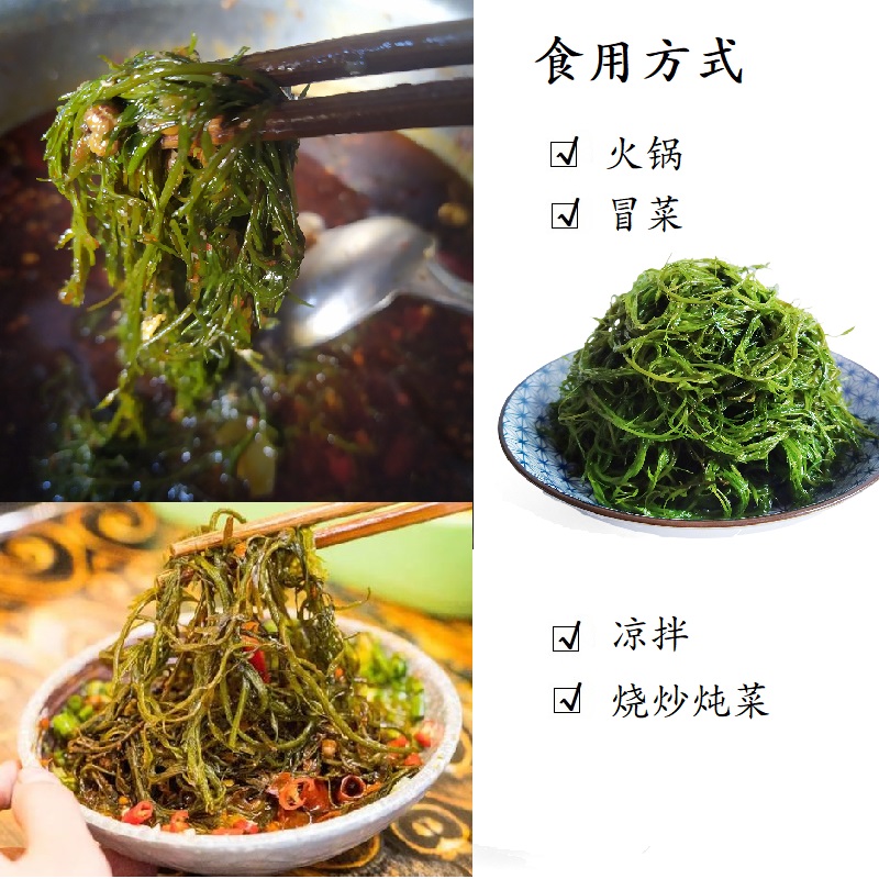 新鲜盐渍鞭炮笋马尾藻羊栖龙须菜海草柳芽火锅凉拌长寿菜五袋包邮-图2