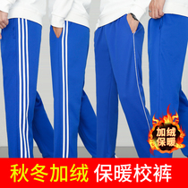 Plus Flannel Thickened School Wear Pants Two Bars A Bar Elementary School Junior High School Men And Women Pao Blue Sports School Uniform Pants