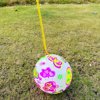 Internet celebrity chain rainbow ball bouncy ball street stall wholesale