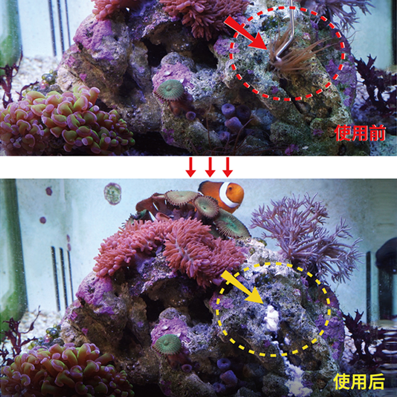 maxspect迈光垃圾葵克星清理去除杀灭垃圾葵除藻剂海水缸珊瑚缸 - 图0