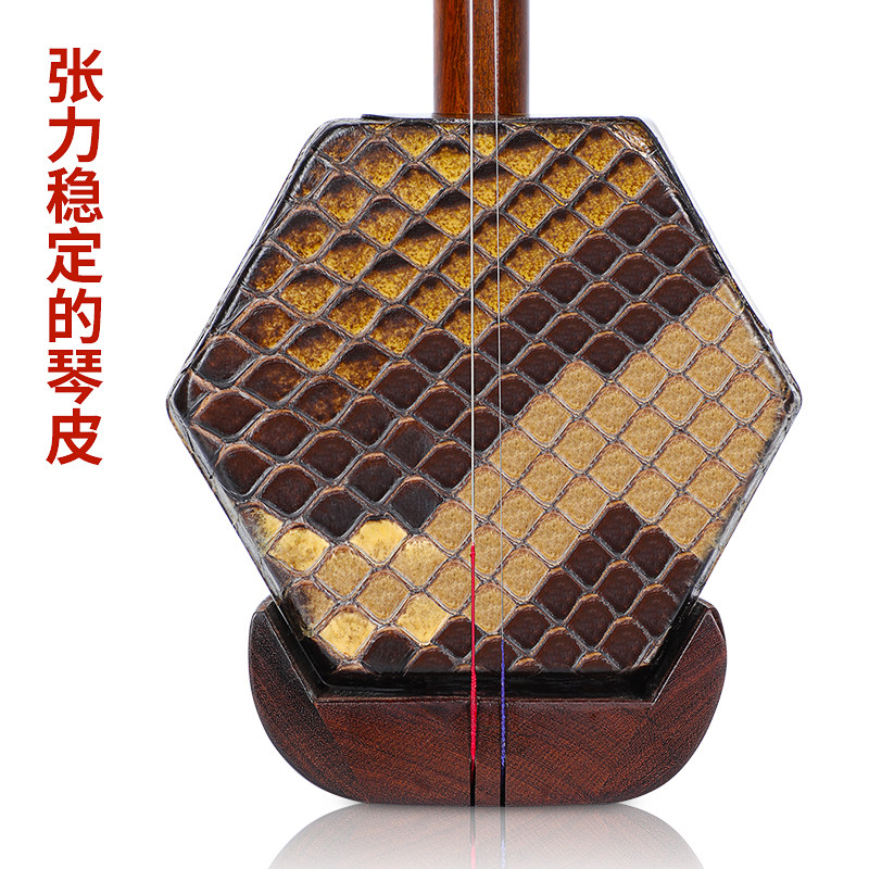  大音乐器二胡