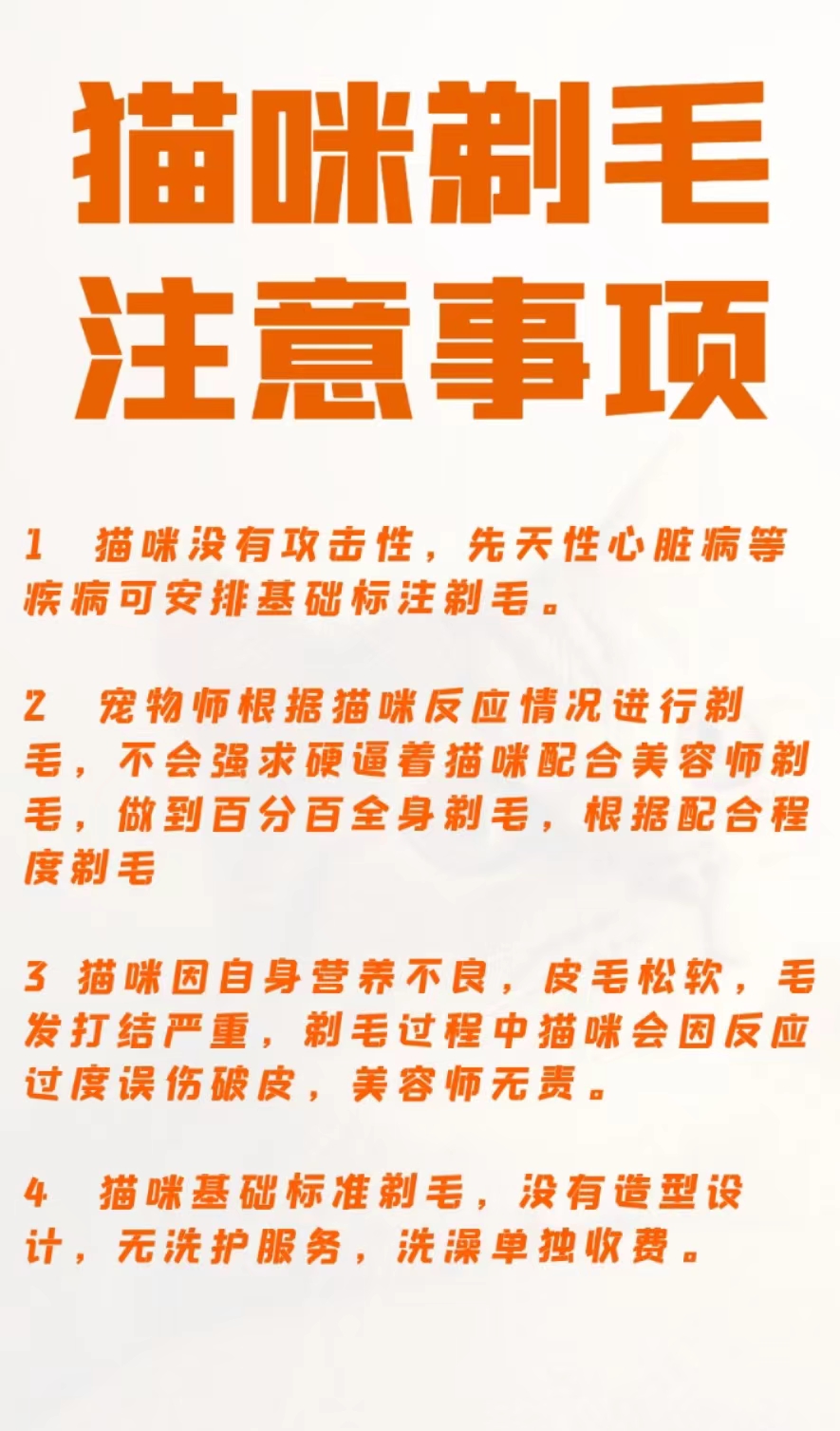 北京猫咪上门洗澡剃毛喂猫遛狗陪护照顾剪指甲寄养驱虫宠物服务 - 图1