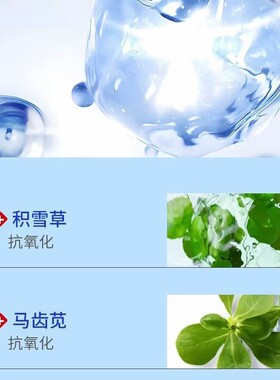 尚碧泉寡肽冻干粉 补水保湿 控油 淡化痘印 改善毛孔