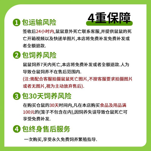 向小希小仓鼠活体宠物无需打疫苗老婆婆布丁金狐奶茶老公公送笼子 - 图2