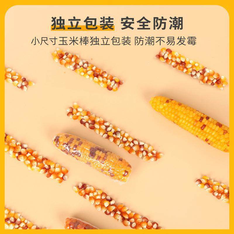 迷你小玉米磨牙棒仓鼠花枝鼠兔子熊磨牙零食用品金丝熊粮食营养,淘宝优惠券,粉丝福利购,淘宝优惠卷