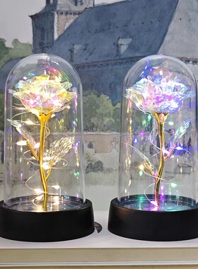 LED灯玻璃塑料罩永生圣诞圣诞节礼物仿真妈妈生日礼物高小众老婆