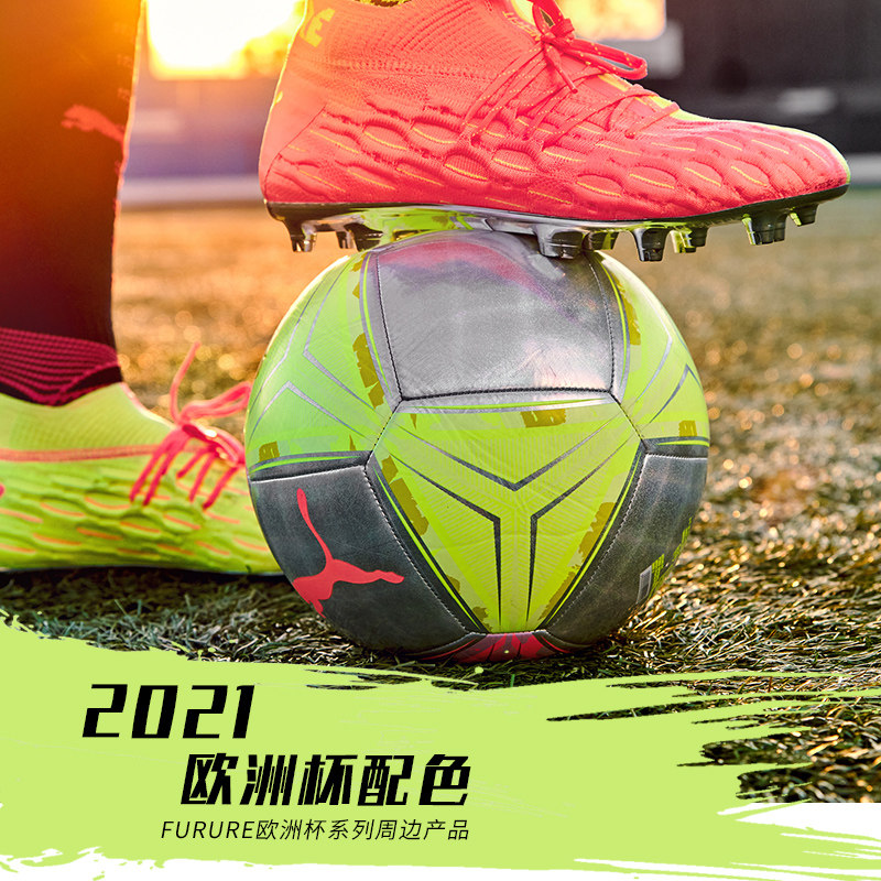 puma 5号欧洲杯4号男成人儿童足球 极地运动足球