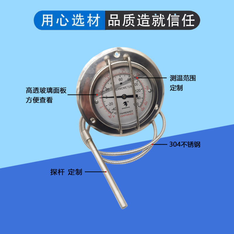 TANK坦克罐式冷冻集装箱-40-160℃度带防撞杆杠子压力式温度计TK - 图1