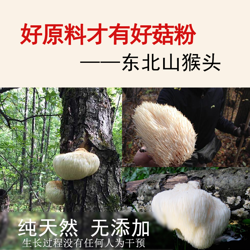 猴头菇粉养胃粉300g长白山特产级超微破壁100%没添加原味纯粉冲服 - 图1