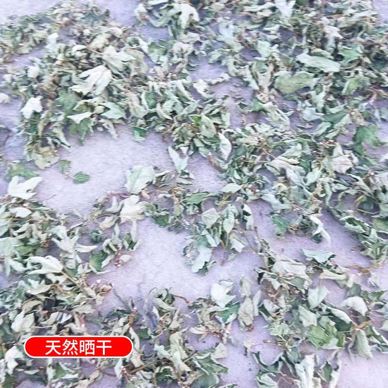 无花果叶干 无花果叶茶 无花果叶子药用新鲜干叶中药材煮水熏洗 - 图2