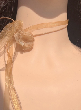 小众设计优雅气质仙气浅咖色花朵网纱双层项圈颈带choker百搭项链