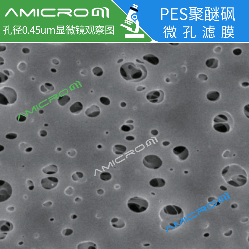 13mm聚醚砜PES亲水性滤膜微孔滤膜 Amicrom实验室滤纸100张/盒 - 图0