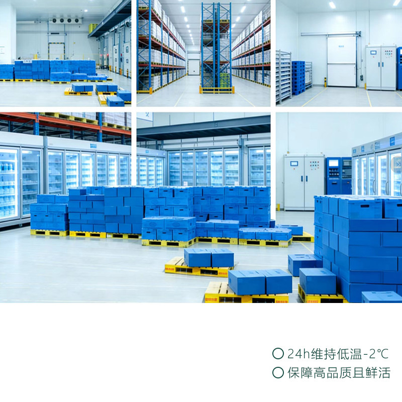 冻干黄桃干鲜果原切冻干黄桃脆酸甜酥脆果蔬脆办公休闲小零食袋装,淘宝优惠券,粉丝福利购,淘宝优惠卷