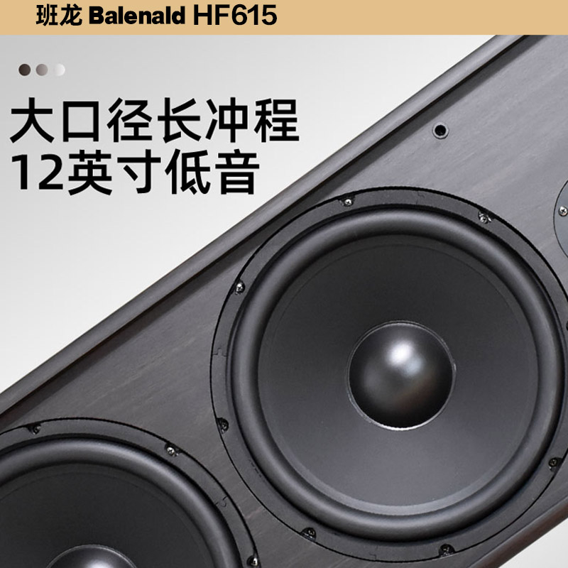 班龙615hifi音箱发烧级家用客厅高保真双12寸三分频音响落地音箱