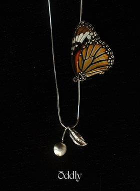 oddly  原创小众设计果子果荚吊坠项链女轻奢高级感法式锁骨链