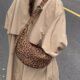 Bag women's crossbody bag 2025 new autumn and winter style large capacity niche design high-end retro single shoulder dumpling bag