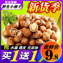 2022 New Cargo Wild Little Hazelnut Iron Ridge Kaiyuan Northeast Special Produce Fresh Original Taste Nut Thin Leather Cooked Opening