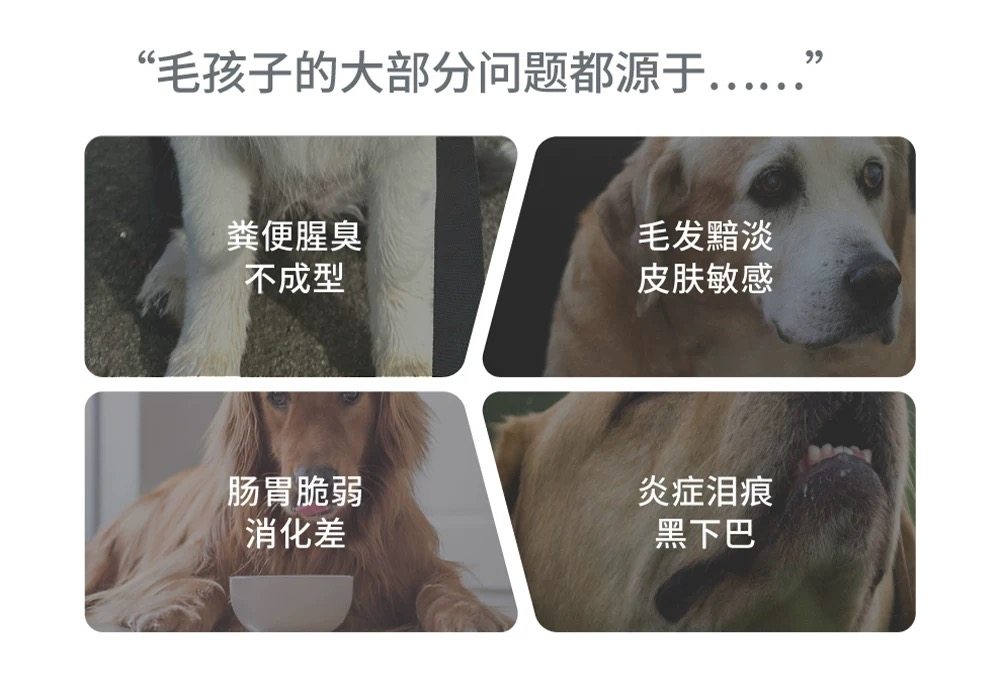 【带防伪】生生不息狗粮主食冻干生骨肉成犬幼犬狗主鸭兔猪肉400g,淘宝优惠券,粉丝福利购,淘宝优惠卷