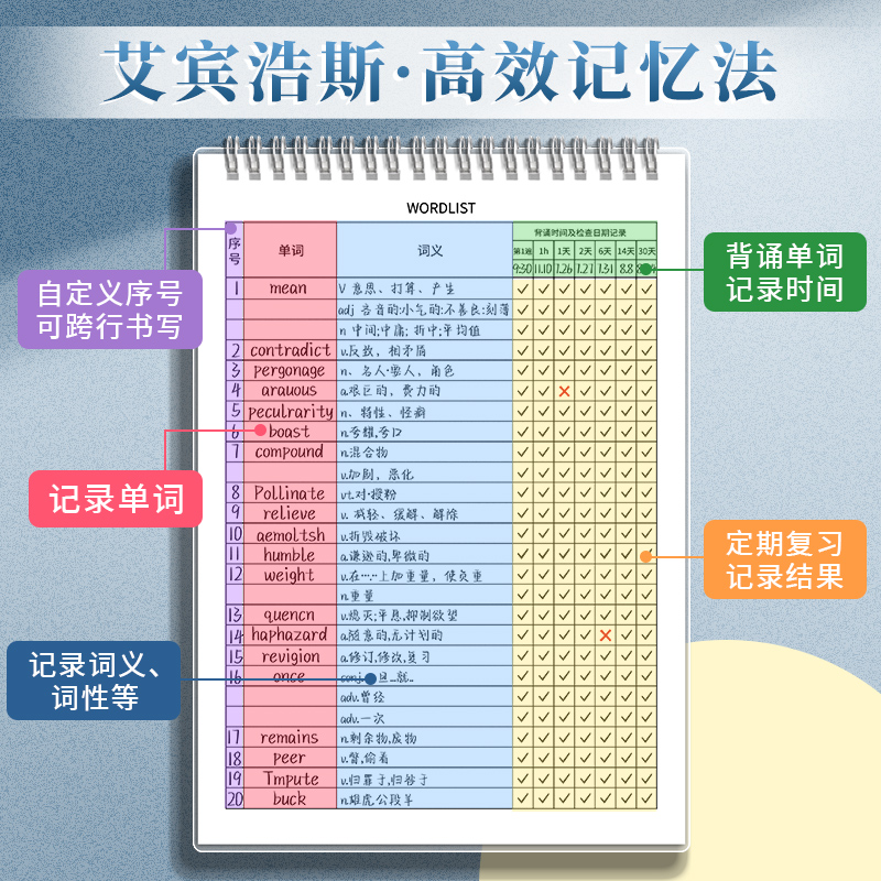 英语单词本记忆艾宾浩斯记忆曲线大学生考研默写记背神器生词纸笔记本子四级六级日语专升本词汇初中高中遗忘-图0