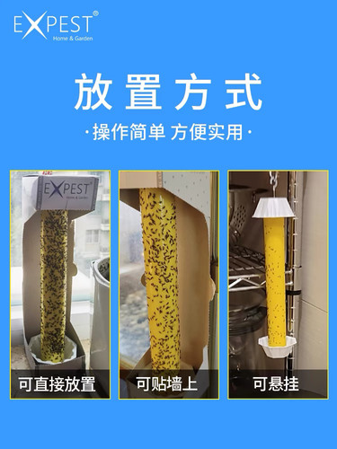 小飞虫诱捕器除卫生间飞蛾EXPEST捕捉苍蝇室内家用粘蝇纸蛾蚋星 - 图1