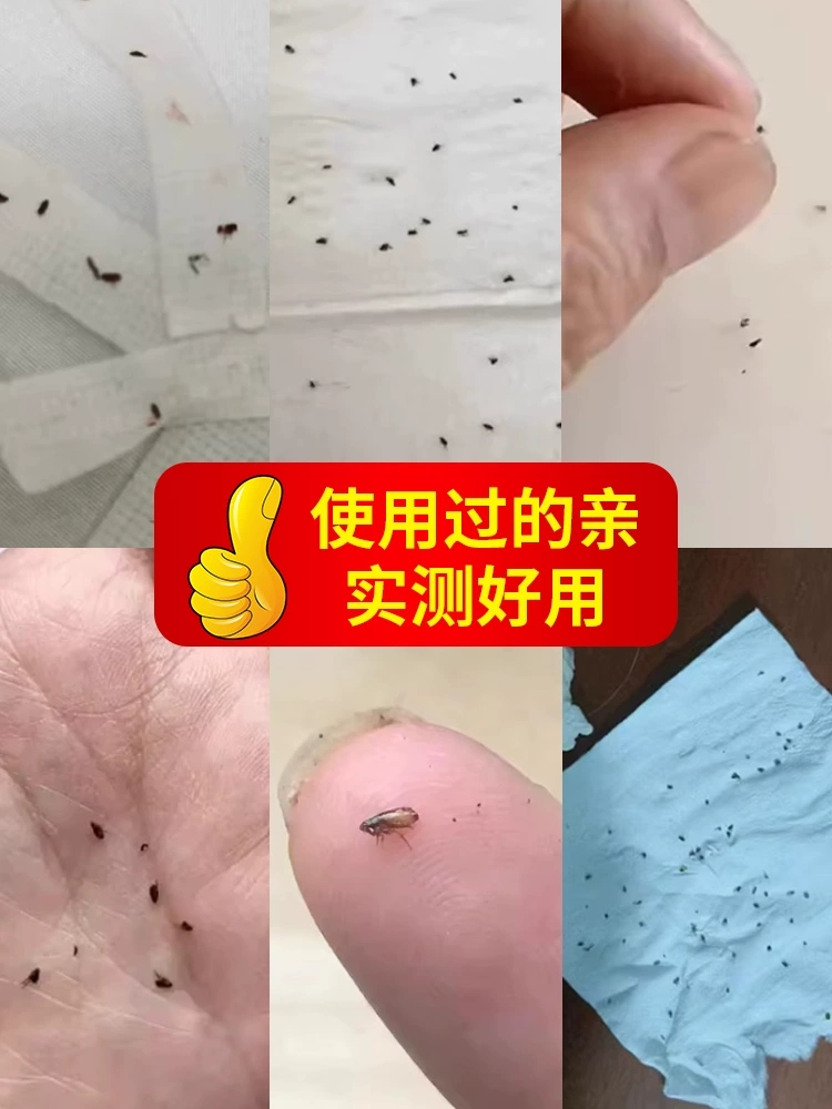 跳蚤药床上家用非无毒跳骚药大面积去除跳蚤喷雾剂灭杀跳蚤专用药 - 图2