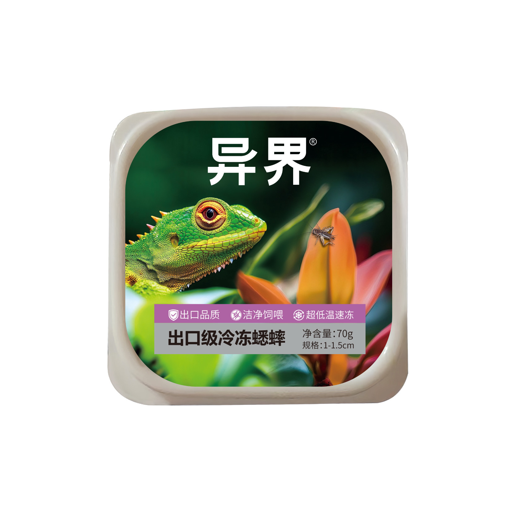 图2