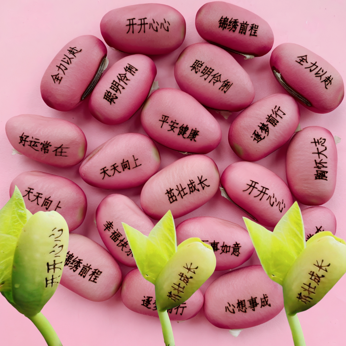 定制链接 魔豆种子魔豆植物刻字豆子有字豆子祝福豆子红豆卡片,淘宝优惠券,粉丝福利购,淘宝优惠卷