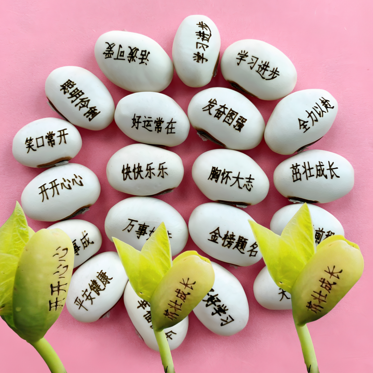 定制链接 魔豆种子魔豆植物刻字豆子有字豆子祝福豆子红豆卡片,淘宝优惠券,粉丝福利购,淘宝优惠卷