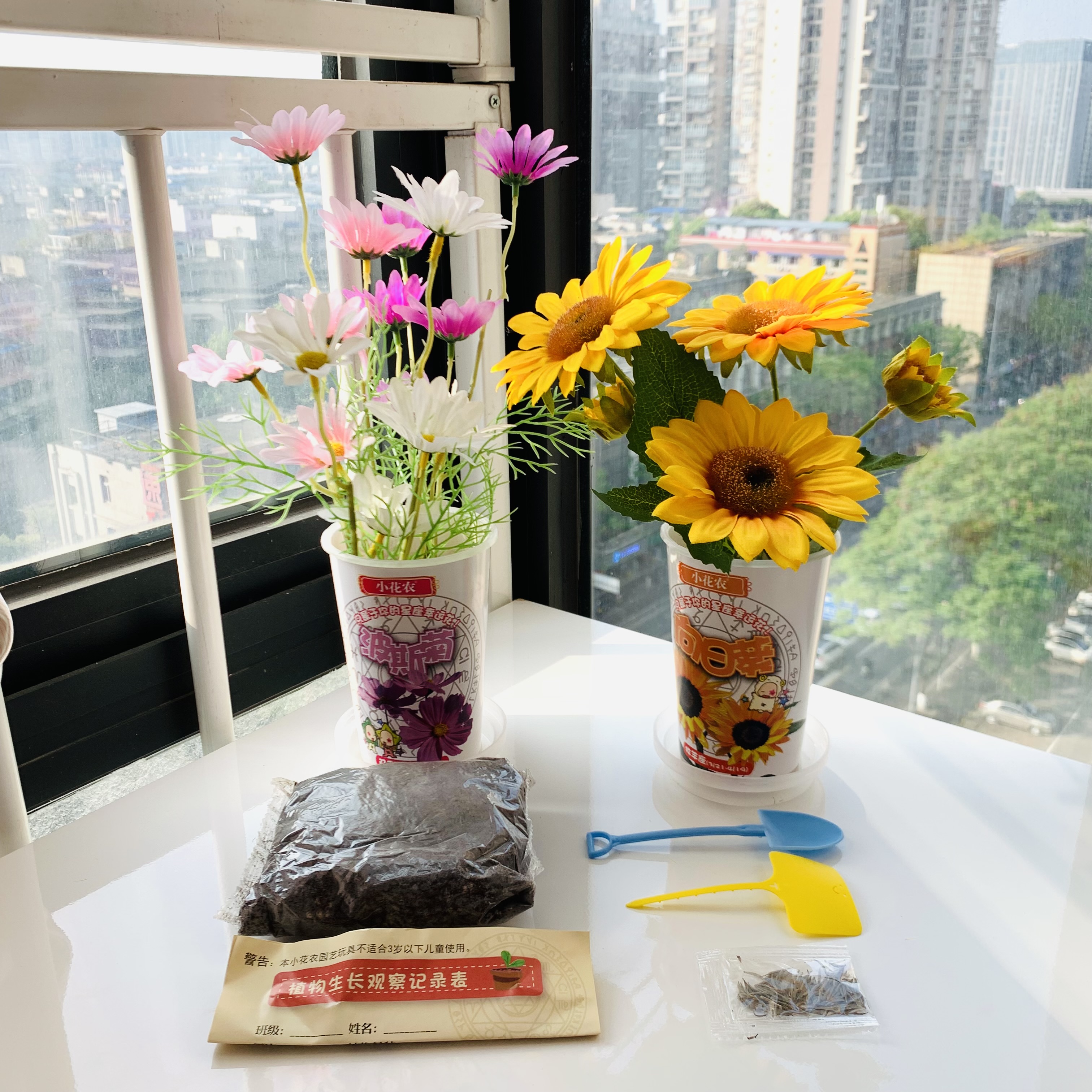 小花农diy儿童种植迷你小盆栽幼儿园自种植物种子开心农场向日葵 - 图1