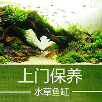 Upper sea grass cylinder aquarium door to door maintenance Conservation cleaning and maintenance water quality regulation and design decoration fish tank