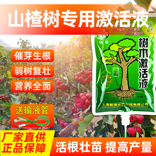 大树营养液树木激活液果树输液袋移栽吊针肥料植物生根催芽通用型 - 图1
