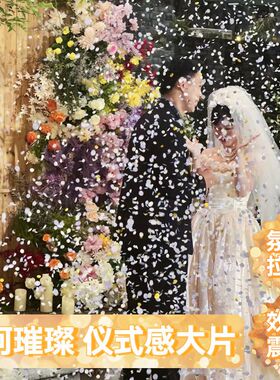 婚礼手持彩带喷筒5615