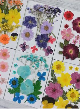 天然真花押花干花手工材料包