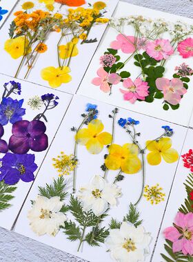 干花压花滴胶材料包50