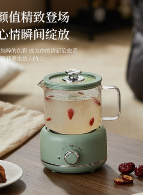 静音迷你养生杯小型办公室花茶壶全玻璃烧水杯多功能家用杯煮茶壶