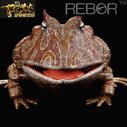 REBOR侏罗纪恐龙25/超可动魔鬼蛙超可动恶魔角蛙成人模型玩具现货 - 图0