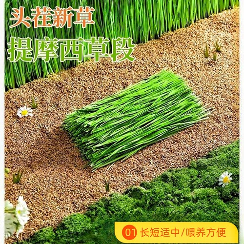 26年烘干提摩西草干草北提毛重1kg兔子草料饲料龙猫荷兰猪粮食 - 图0