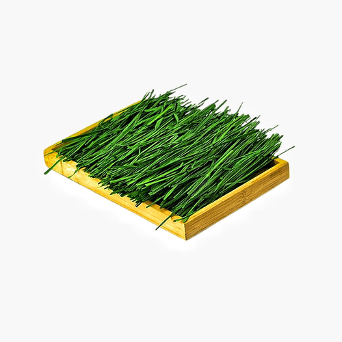 26年烘干提摩西草干草北提毛重1kg兔子草料饲料龙猫荷兰猪粮食 - 图3