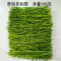 2021 new drying mention Moshe grass section net weight 500g more than 500g leaves drying north Tirabbit dragon cat Dutch pig herding grass