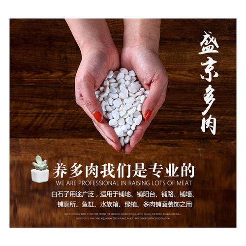 白石子鱼缸庭院造景摆件鹅卵石多肉铺面小石子装饰雨花石 - 图2