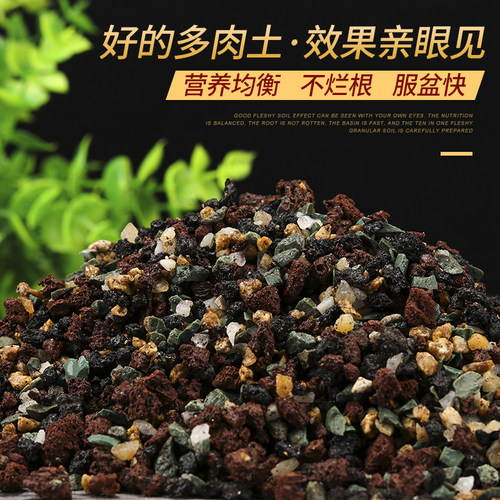 多肉颗粒土专用十合一八合一营养土麦饭石铺面石肥料植物育苗通用 - 图1
