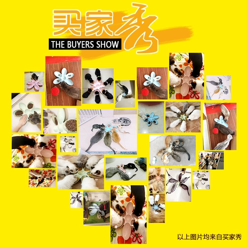 Кошачья чаша чаша переходная кошка питает чаши с лепедной миской Kitter Anti -Fell Rice Bowl Dog Bow