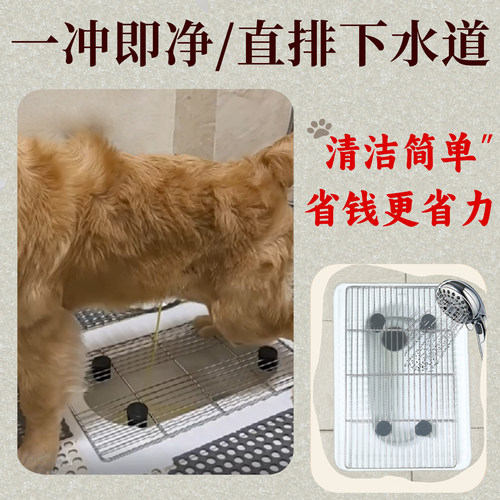 蹲坑狗厕所不锈钢网架定点便盆大中小型犬宠物狗狗专用上厕所尿盆 - 图0