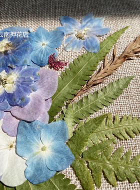8-A4艺术押花材料干花相框