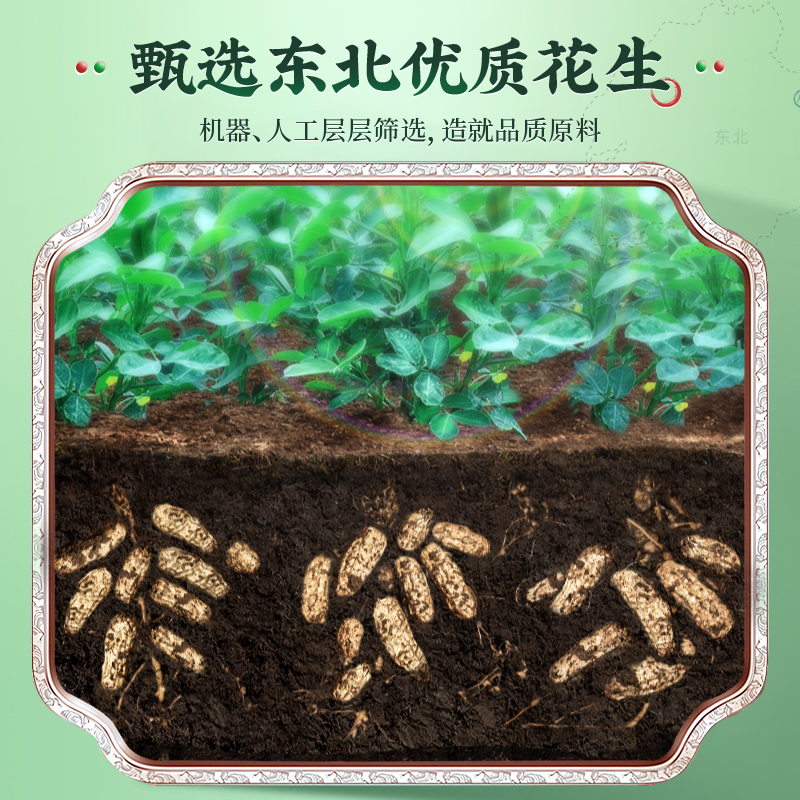 洽洽蒜香奶香味花生420g新货水煮熟带壳坚果炒货下酒菜休闲零食