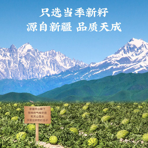 洽洽口水话梅味/陈皮甘草西瓜子898g998g罐装黑瓜子休闲零食正品 - 图3