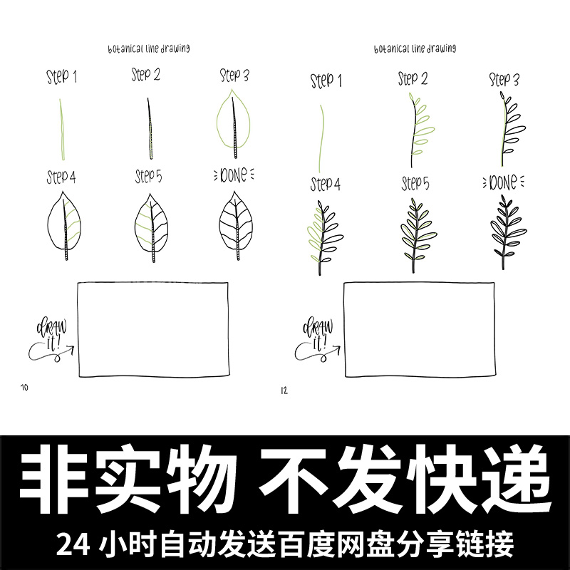 植物简笔画教程 步骤教学 花朵树叶仙人掌 零基础人们绘画 素材